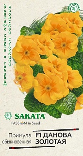 Примула Данова золотая F1, 5 шт. Саката.