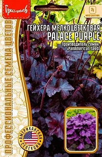 Гейхера Palace Purple (Дворцовый фиолетовый) мелкоцветковая, 10 шт.