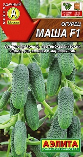 Огурец Маша F1, 6 шт.