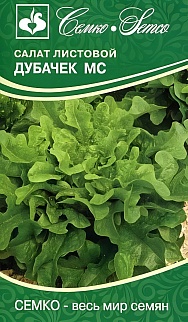 Салат листовой Дубачек, 1 г