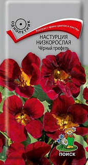 Настурция низкорослая Чёрный трюфель, 1 г