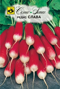 Редис Слава, 3 г