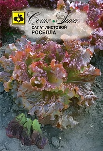Салат листовой Роселла, 1 г. Семко