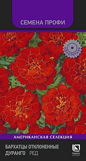 Бархатцы Отклоненные Дуранго Ред, 15 шт. Семена профи