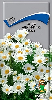 Астра альпийская Белая, 0,04 г