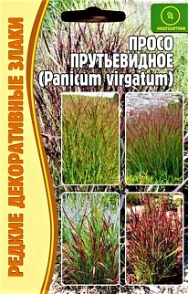Просо прутьевидное (Panicum virgatum),  0,1 г