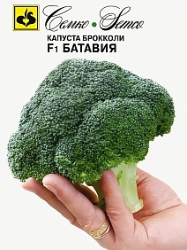 Капуста брокколи Батавия F1, 10 шт. Семко.