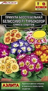 Примула Белиссимо F1 турбоколор, смесь сортов, 5 шт.