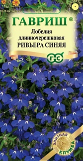 Лобелия Ривьера Синяя, 5 шт. Элитная клумба. 