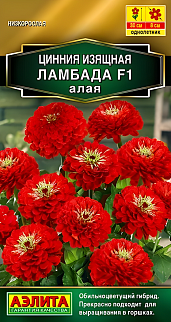 Цинния изящная Ламбада F1, алая, 12 шт.