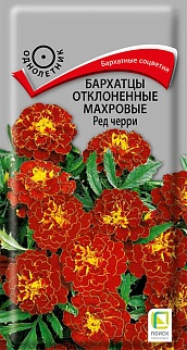 Бархатцы отклоненные махровые Ред черри, 0,3 г