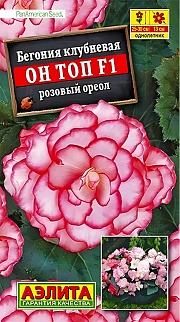 Бегония Он Топ F1 розовый ореол, 5 шт.