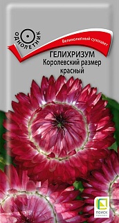 Гелихризум Королевский размер красный, 0,1 г