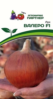 Лук Валеро F1, 0,5 г. Агрофирма Партнер.