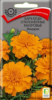 Бархатцы отклоненные махровые Мандарин, 0,4 г