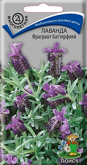 Лаванда Фрагрант баттерфляй, 20 шт.