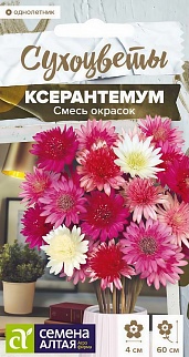 Ксерантемум Смесь окрасок, 0,05 г. Сухоцветы. 