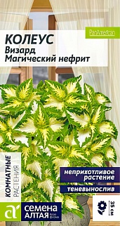 Колеус Визард Магический Нефрит, 10 шт.