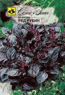 Базилик Ред рубин, 1 г. Семко.