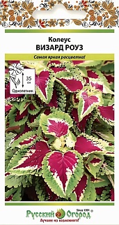Колеус Визард Роуз, 10 шт.  Русский огород