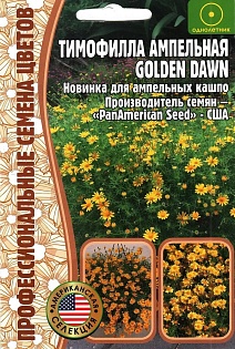Тимофилла ампельная Golden Dawn, 15 др.