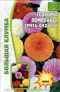 Георгина Помпонная, смесь окрасок, 20 шт.