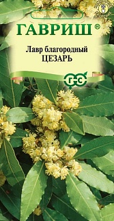 Лавр благородный Цезарь, 3 шт.