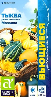 Тыква Мозаика декоративная, 0,5 г. Вьющиеся растения. 