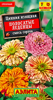 Цинния изящная Полосатые леденцы, смесь окрасок, 0,3 г