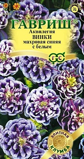 Аквилегия Винки, синяя с белым, 5 шт.