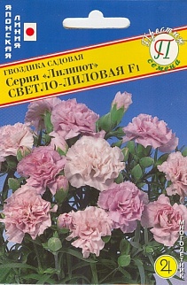 Гвоздика Лилипот Светло-Лиловая, 5 шт. Японская серия