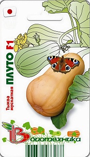 Тыква мускатная Плуто F1, 5 шт. Биотехника