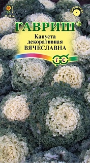 Капуста декоративная Вячеславна, 0,05 г