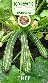 Кабачок цуккини Тигр, 8 шт. Биотехника.