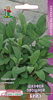 Шалфей овощной Бриз, 0,5 г