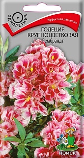 Годеция Крупноцветковая Рембрандт, 0,2 г