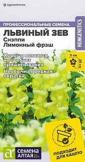 Львиный зев Снэппи Лимонный фреш, 7 шт. 