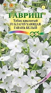 Табак душистый F1 Благоухающая гавань белый, 4 шт. Сад ароматов.