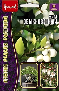 Мирт Обыкновенный, 10 шт.