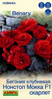 Бегония клубневая Нонстоп мокка F1 скарлет, 5 шт.