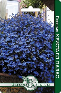 Лобелия Кристалл Палас, 1000 шт. Биотехника