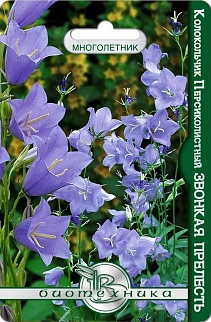 Колокольчик персиколистный Звонкая прелесть, 600 шт. Биотехника