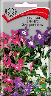 Лобелия Эринус Жемчужная нить, 0,1 г