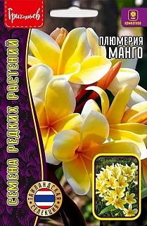 Плюмерия Манго (франжипани), 3 шт.