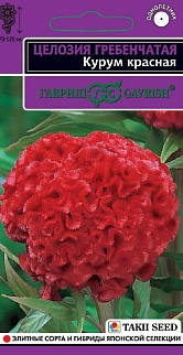 Целозия Курум красная гребенчатая, 8 шт. Эксклюзив.