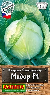 Капуста белокочанная Мидор F1, 0,1 г
