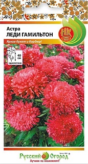 Астра Леди Гамильтон, 50 шт. Русский огород