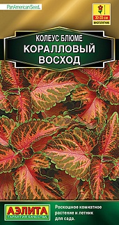 Колеус блюме Коралловый восход, 10 шт.