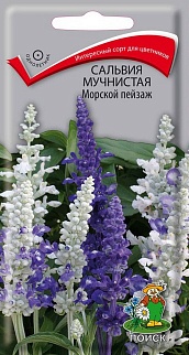 Сальвия мучнистая Морской пейзаж, 10 шт.