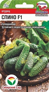 Огурец Спино F1, 5 шт. Семена Голландии . Сибирский сад